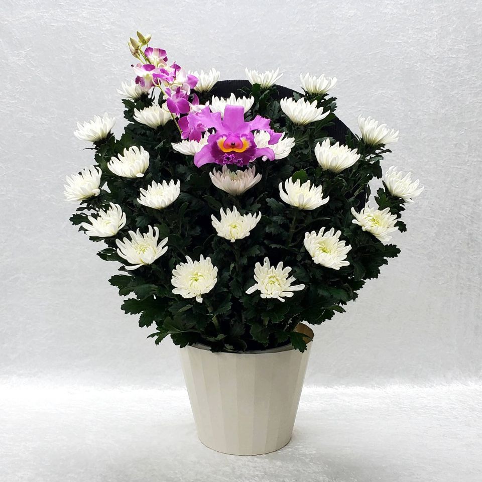 生花(和花)1