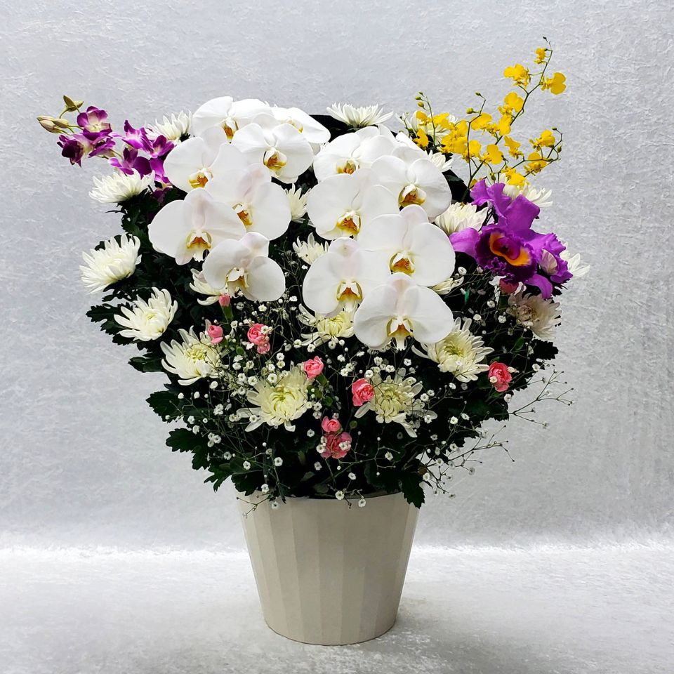 生花(和花)3