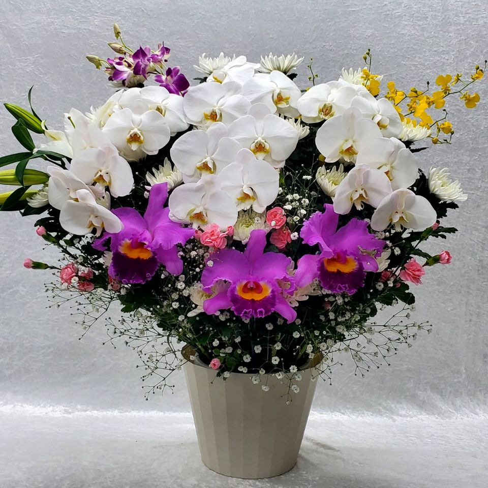 生花(和花)4