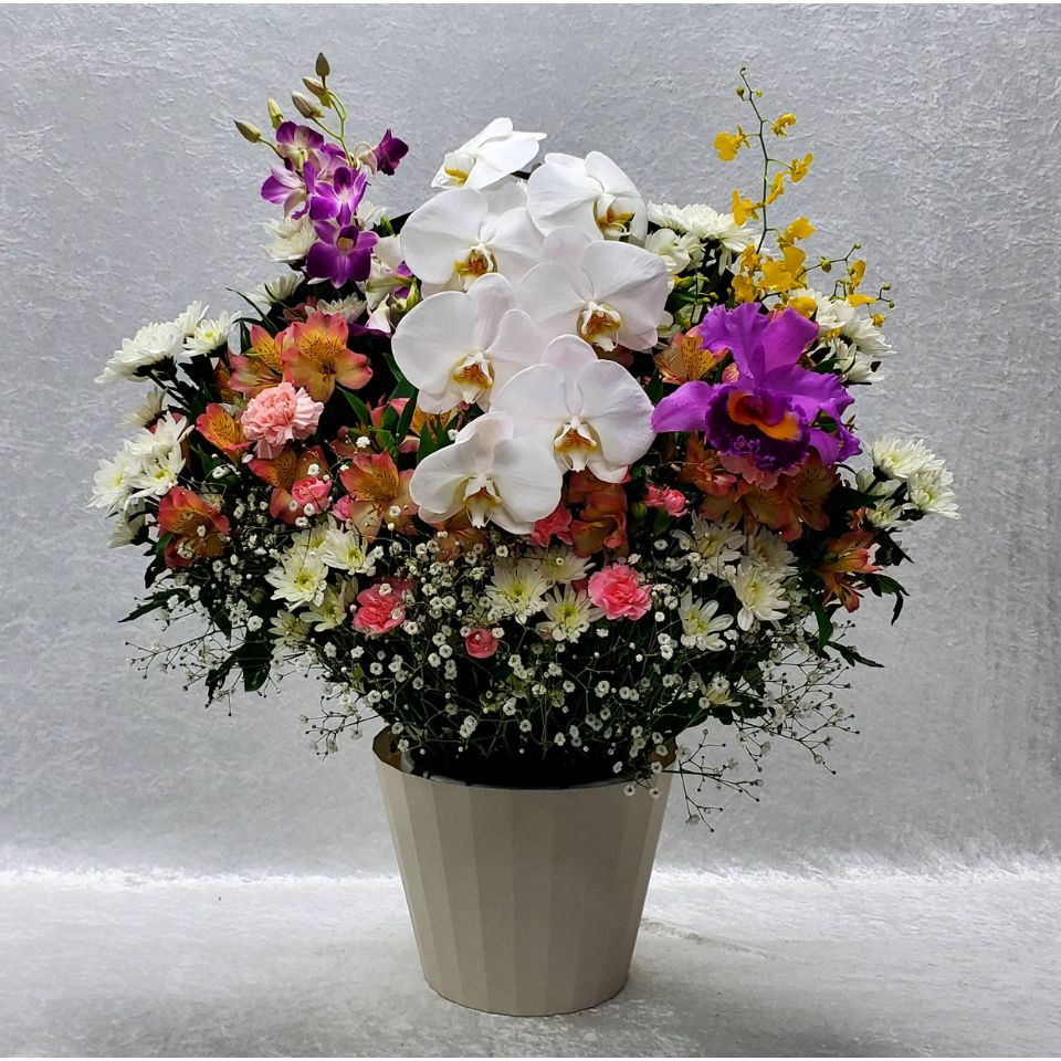 生花(洋花)2