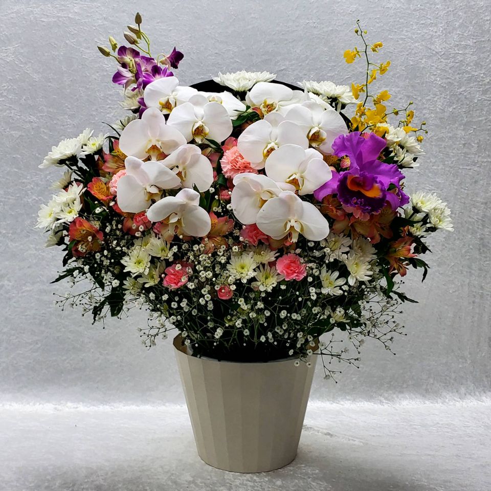 生花(洋花)3
