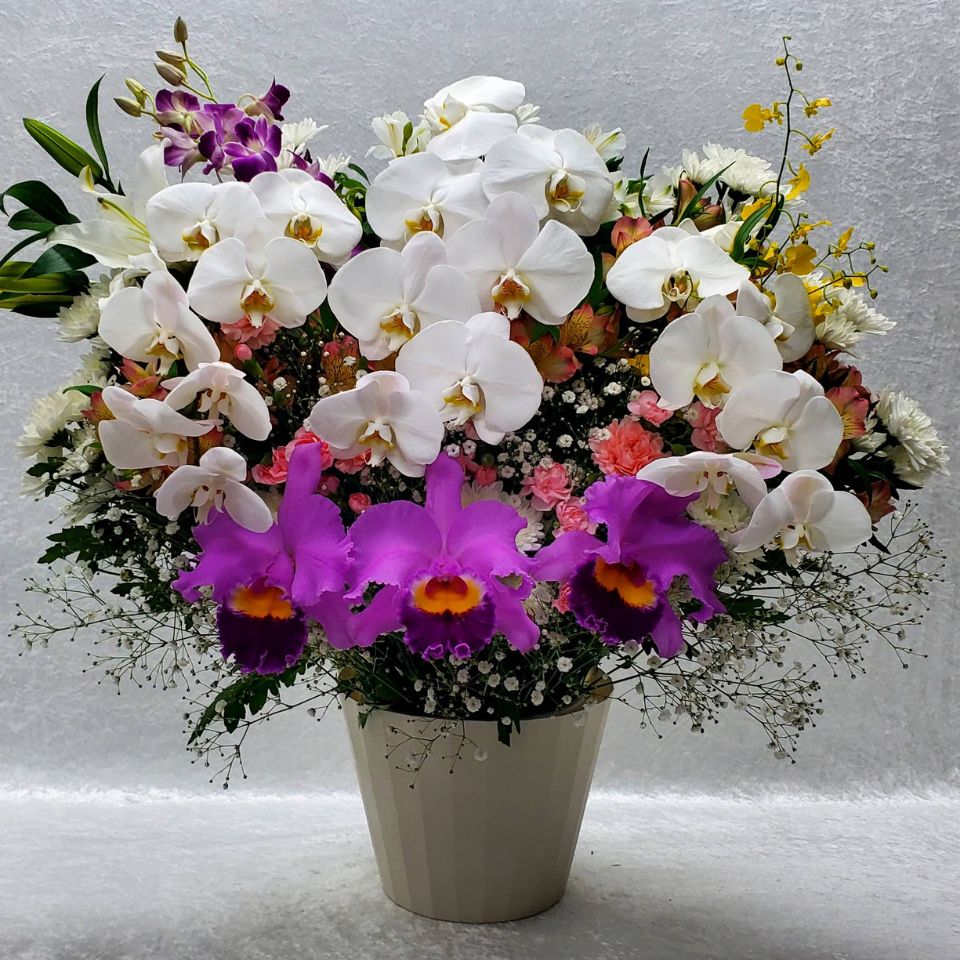 生花(洋花)4